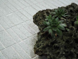 rugiada_bianco_17x78_2
